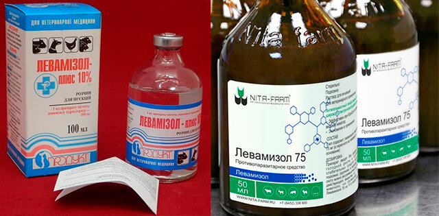 Левамизол 75 дозировка. Левамизол от глистов. Левамизол применение для животных. Левамизол 7,5%, 50 мл. Левамизол лекарственные формы.