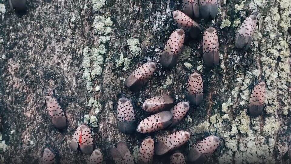 -2