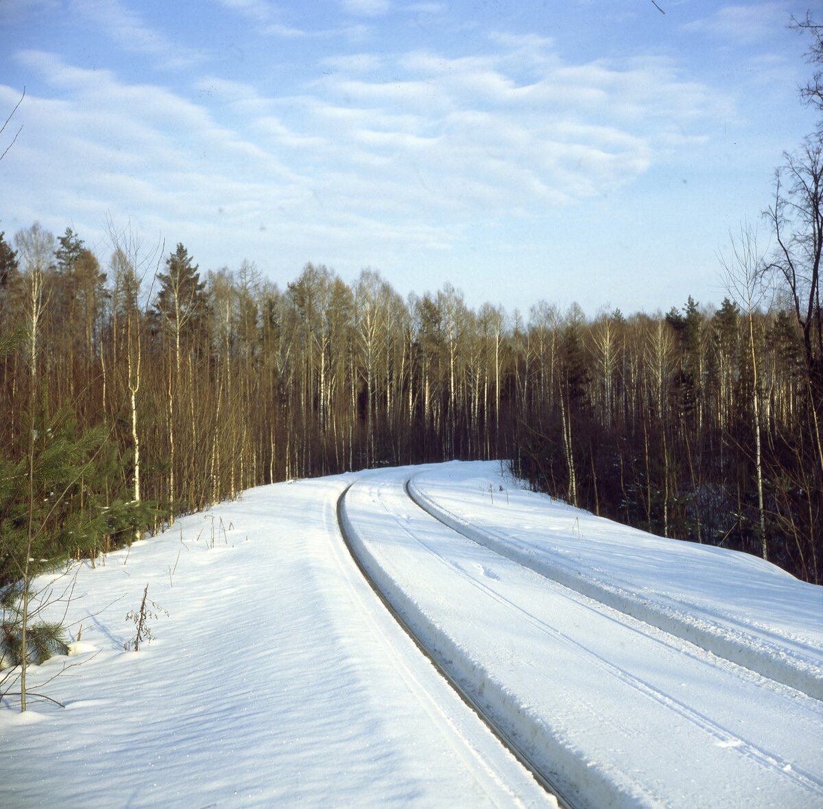 ФОТО:EVGENIY KANAEV/RUSSIAN LOOK/GLOBALLOOKPRESS