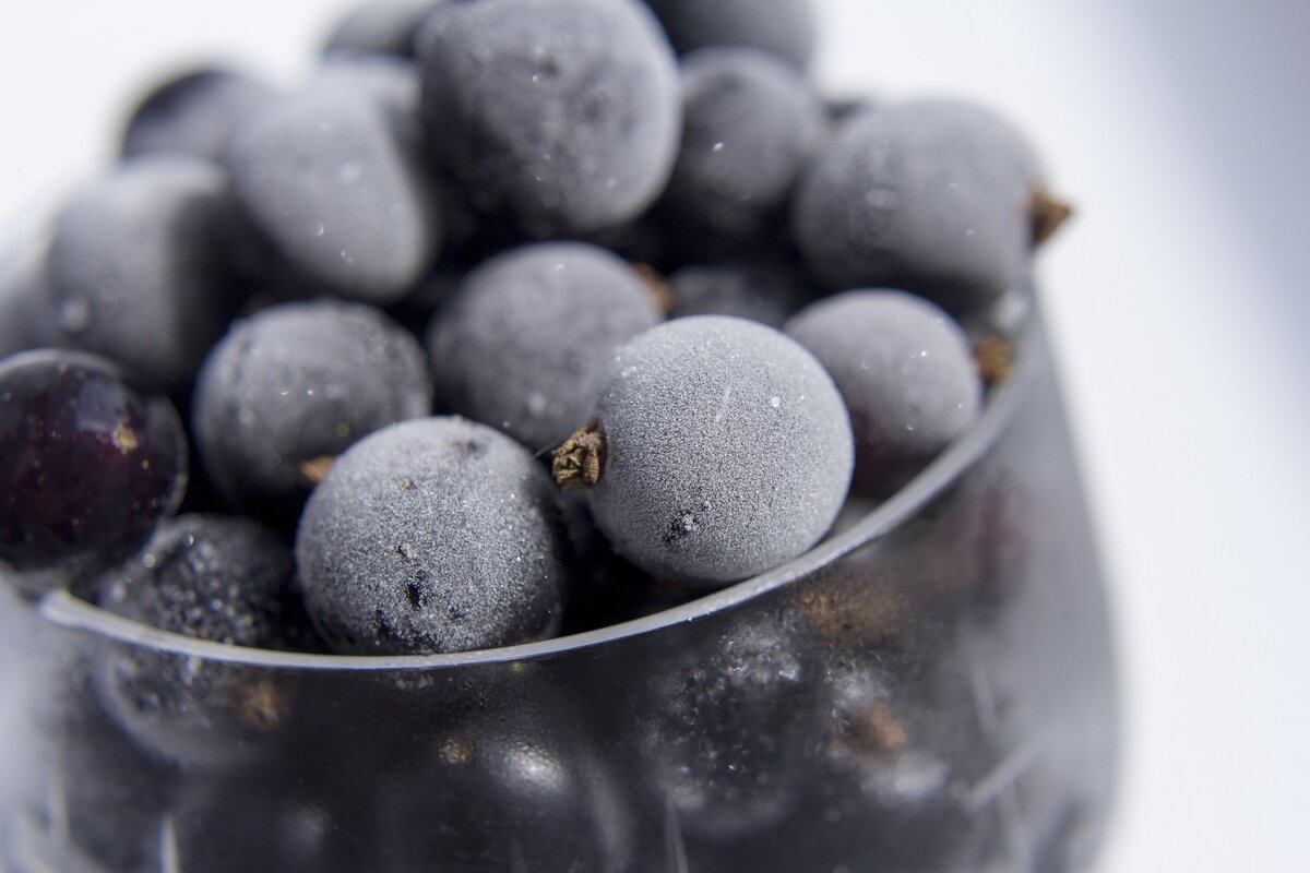 Замороженная черная смородина