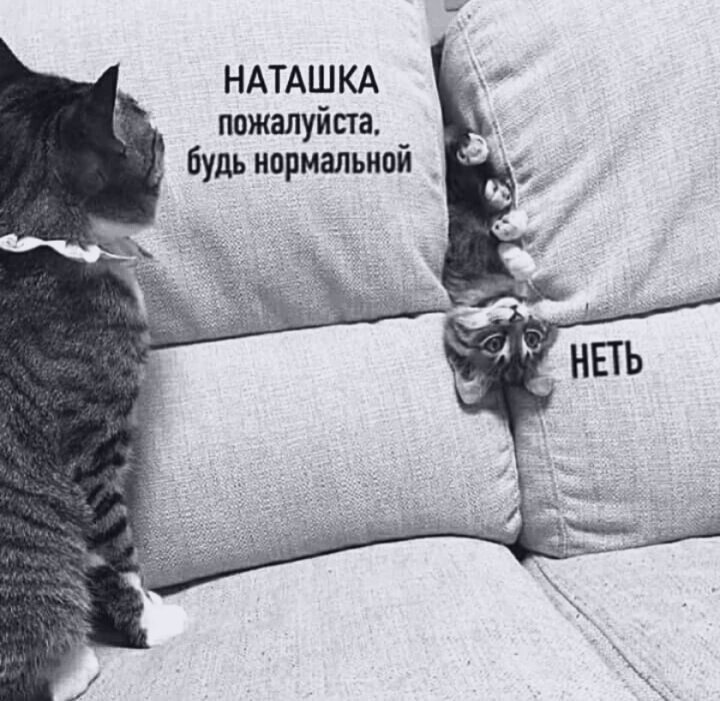 Нашли Наташку? 😁