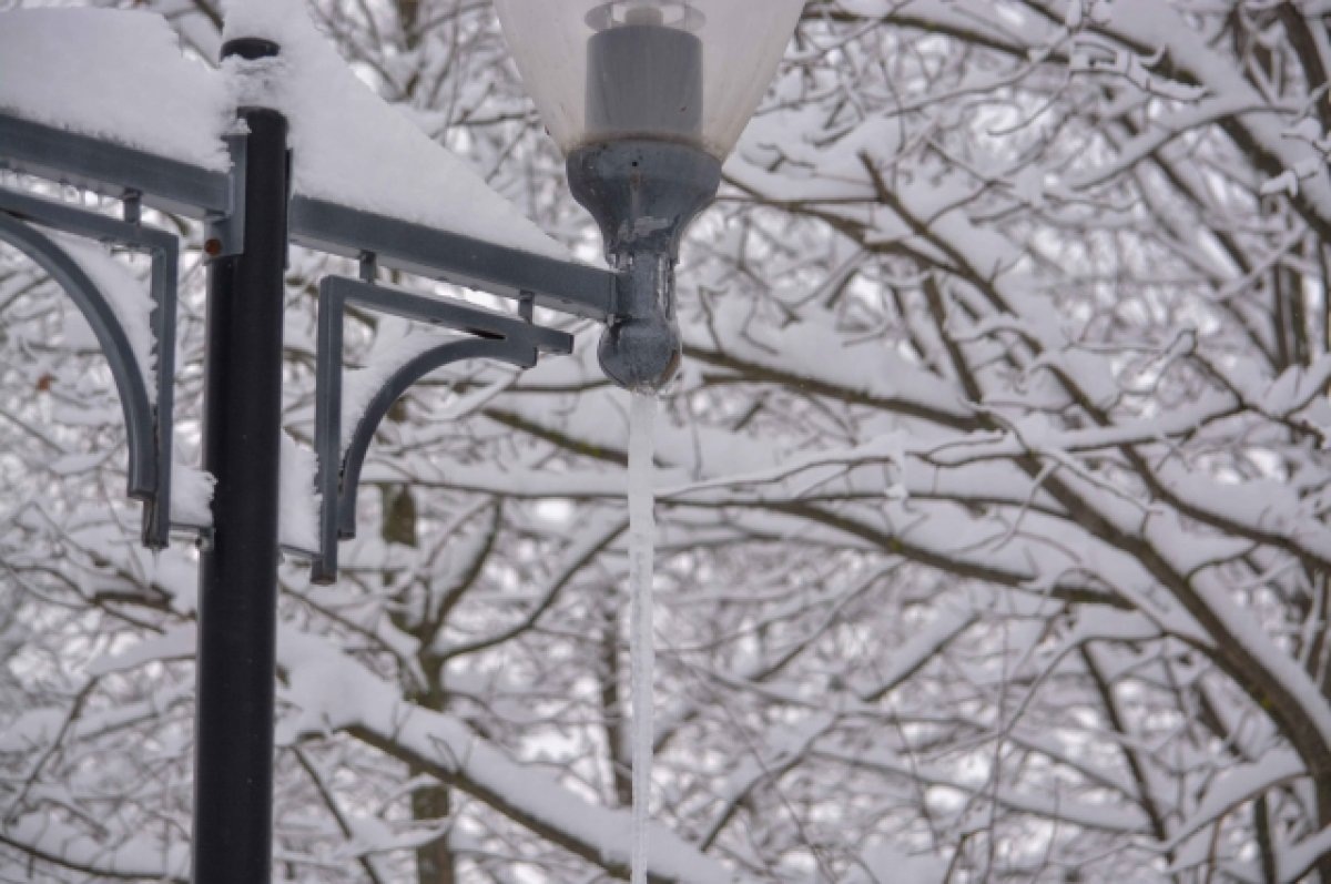    17 декабря в Туле прогнозируют снегопад и сильный ветер