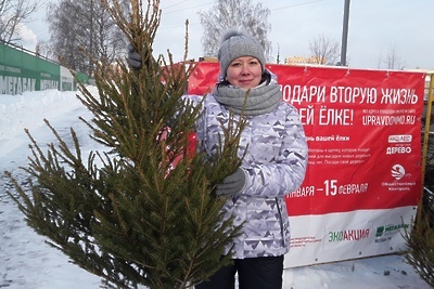    Экоакция «Подари вторую жизнь своей елке» в Балашихе ©Ирина Мальцева РИАМО в Балашихе