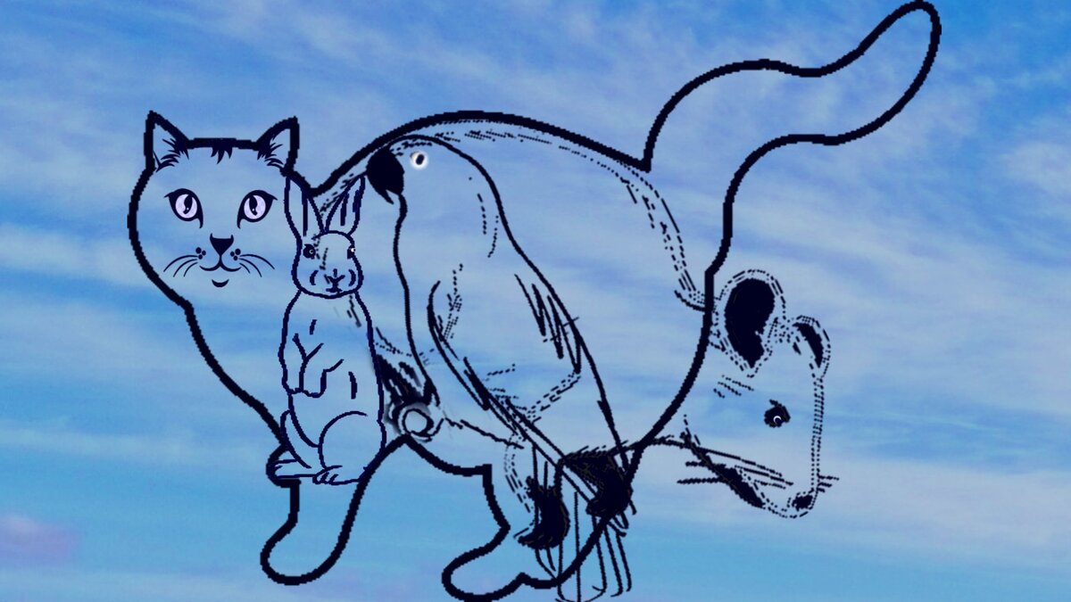 Тест по картинке