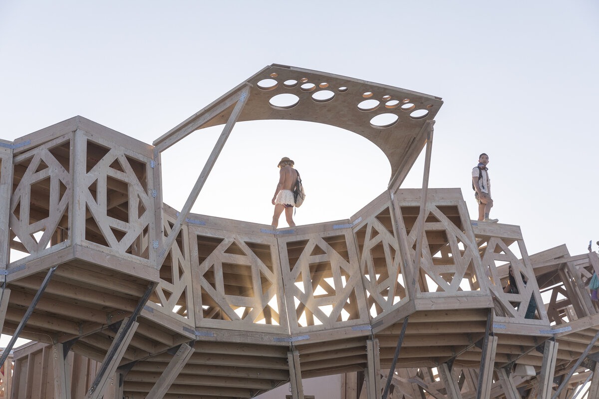 Catharsis | MAMOU-MANI | Laurian Ghinitoiu | Black Rock, US