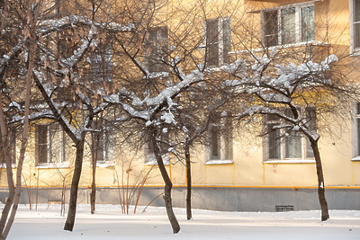    Зима в Московском регионе ©Мария Шуревская РИАМО