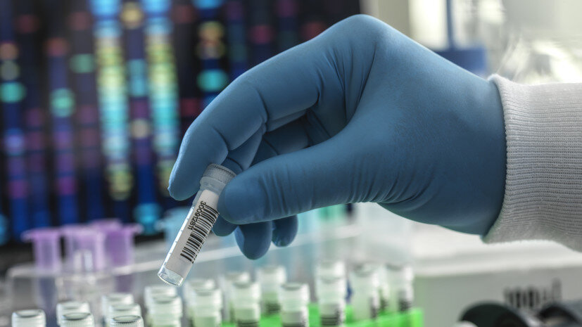   Gettyimages.ru TEK IMAGE/SCIENCE PHOTO LIBRARY