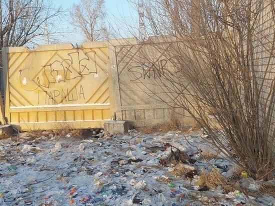     фото из telegram-канала администрации Ингодинского района Читы