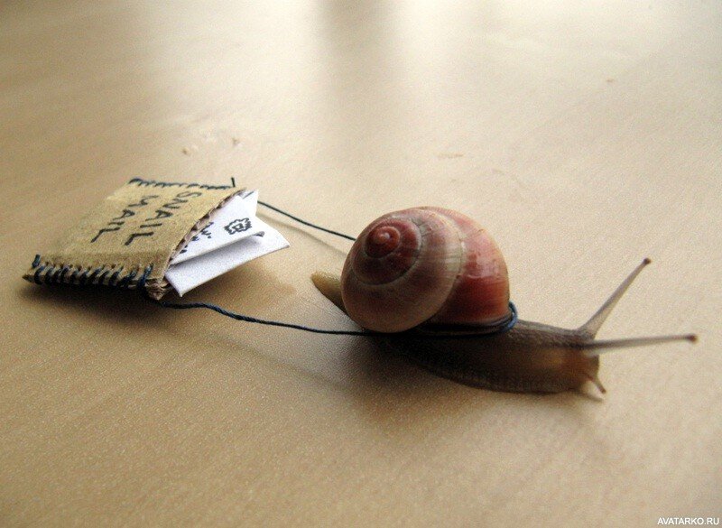 Иллюстрация из открытых источников