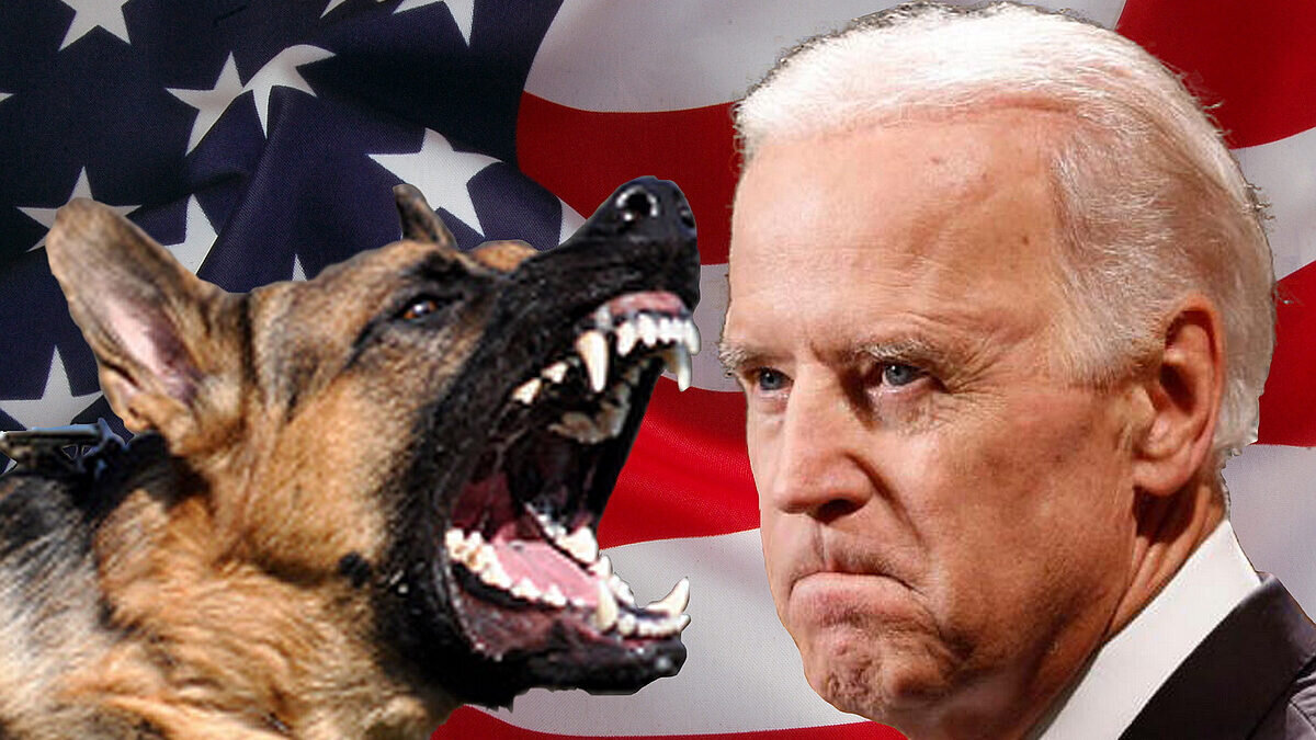 Пользователи Twitter* высмеяли "рождественский подарок" Зеленскому от ...