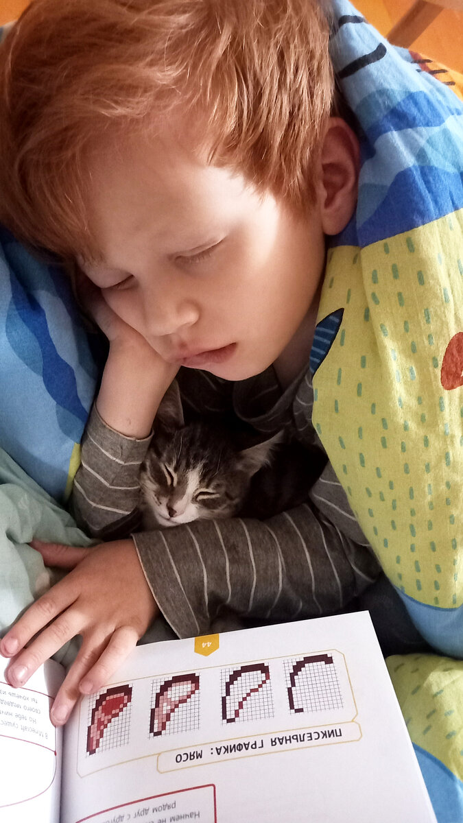 И пытался читать, да не мог, вырубался