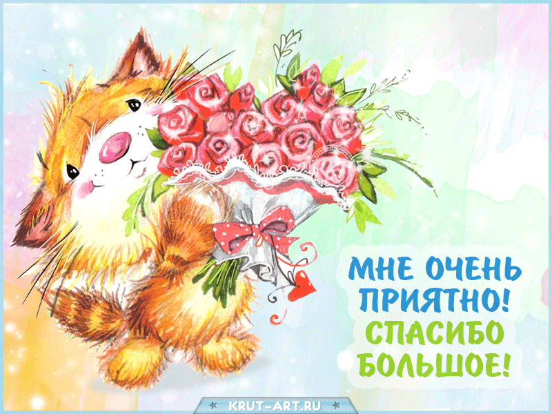 Гифка с благодарностью, красивая открытка с котом, который держит букет роз и говорит: «Спасибо большое, мне очень приятно»