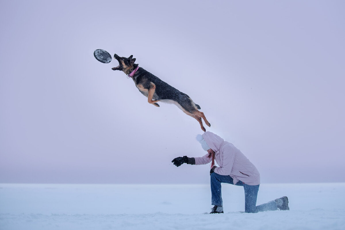 Собака-спасатель ПСО "Экстремум"