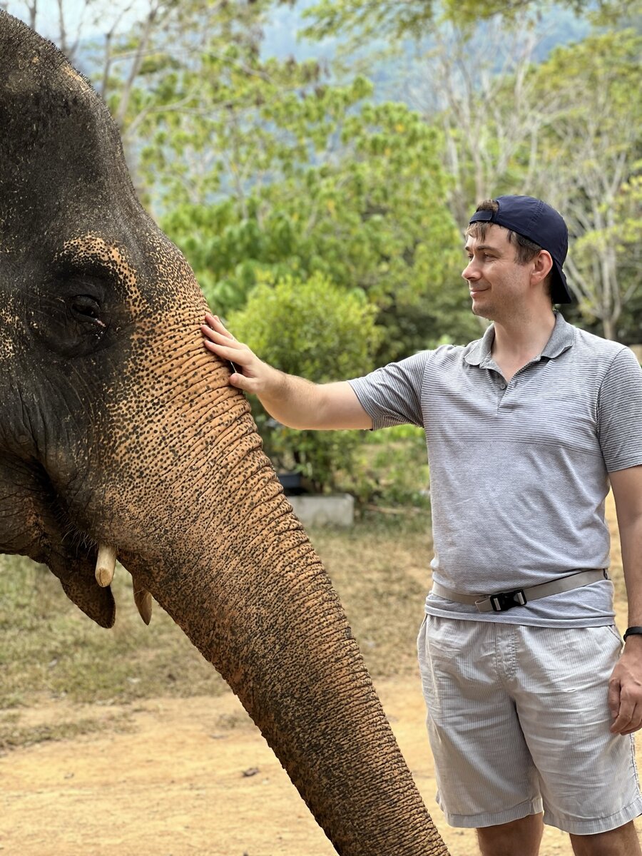 Elephant jungle sanctuary phuket