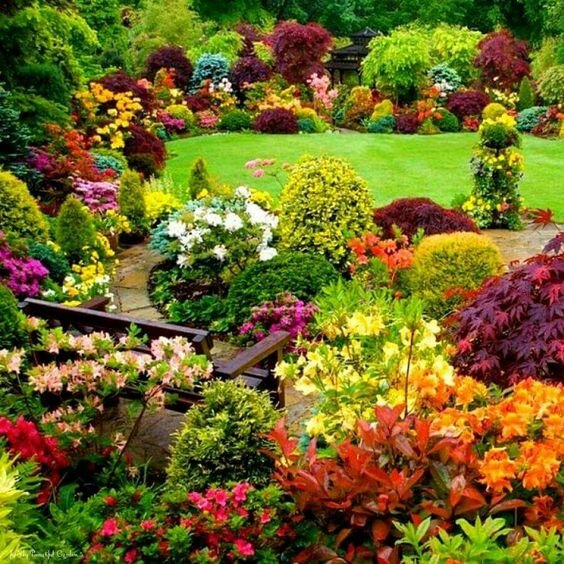 Four Seasons Garden, очень популярный в интернете сад