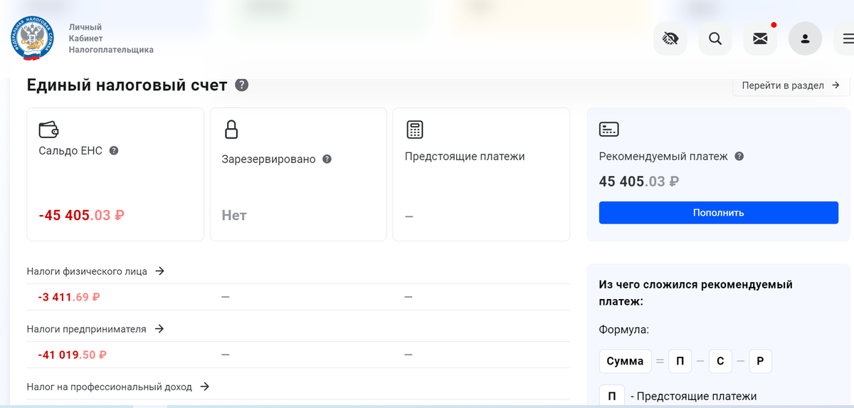 Выписка из объединенного ЕНС (ИП+физлицо)