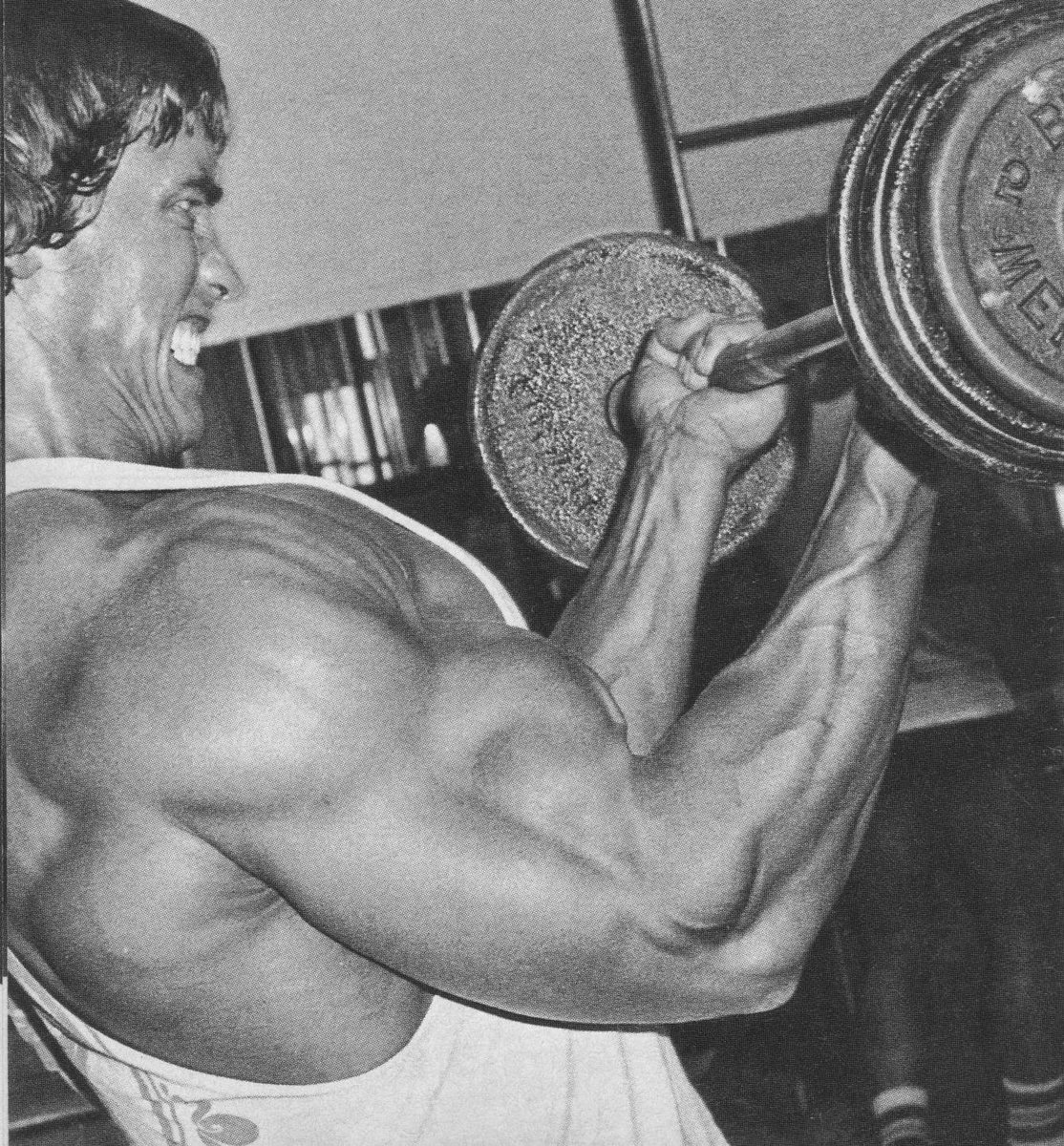 Источник фотографии: Яндекс картинки 