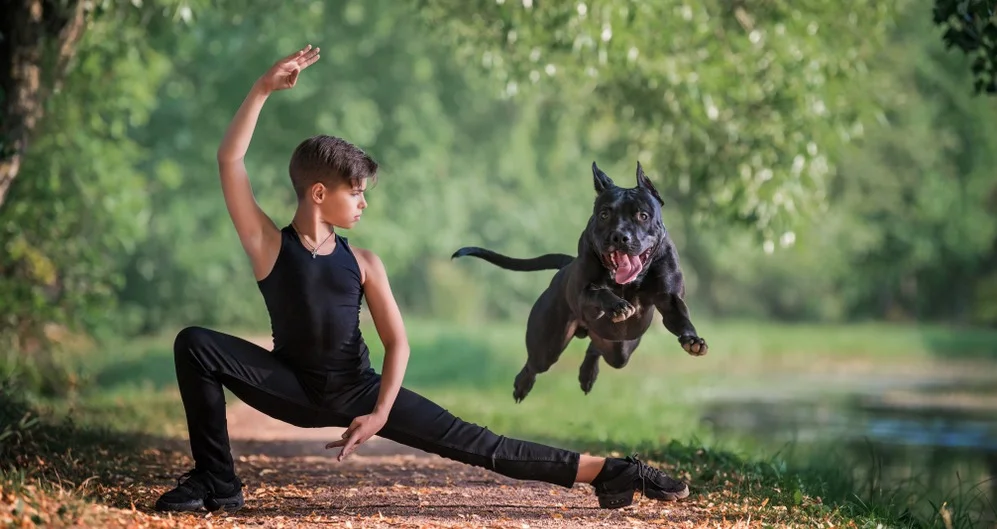 Танцы с собаками: суть дисциплины кинологического фристайла