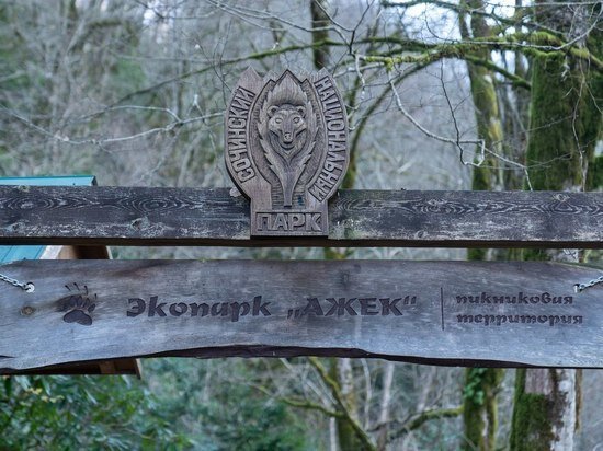   Пресс-служба администрации Сочи