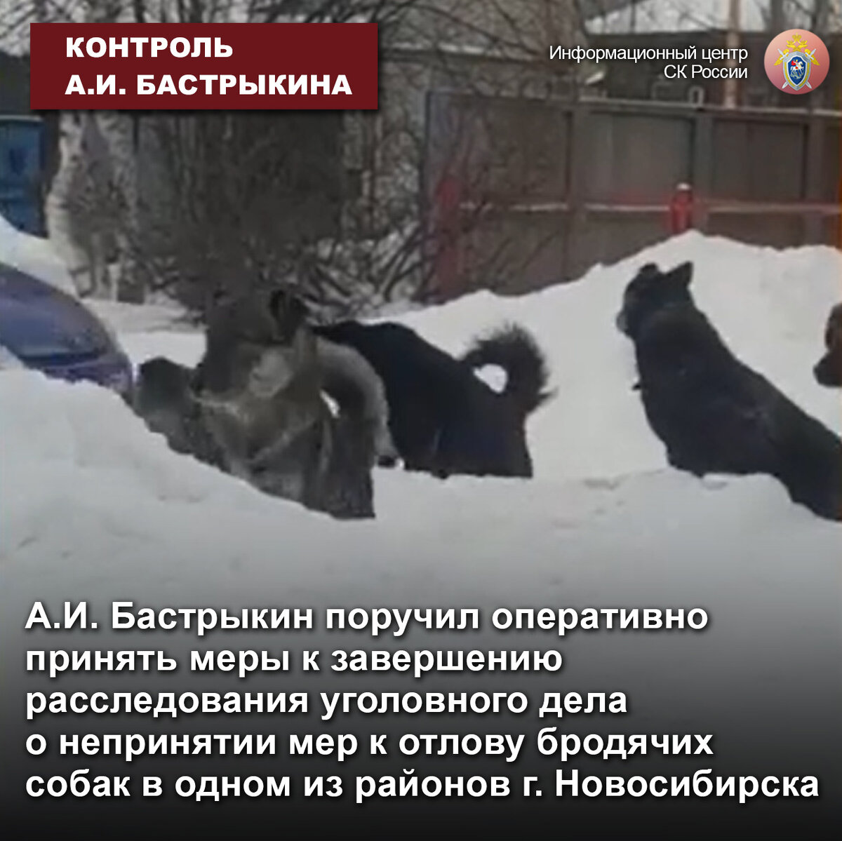 Как будет осуществлен захват лисёнка?