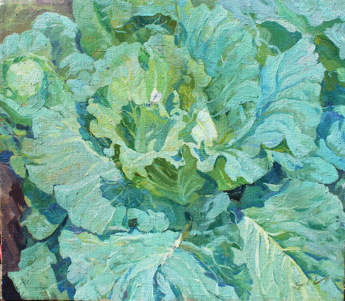 Этюд с капустой. Евгений Бучнев