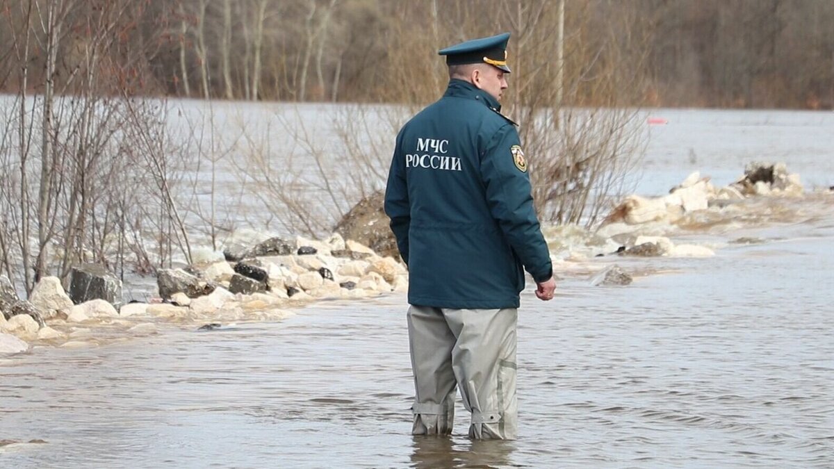 река дон сегодня уровень воды