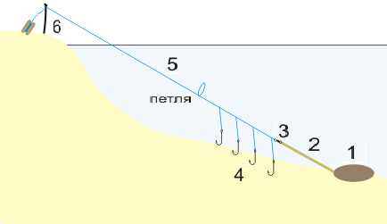 Фото с сайта: https://klev26.ru