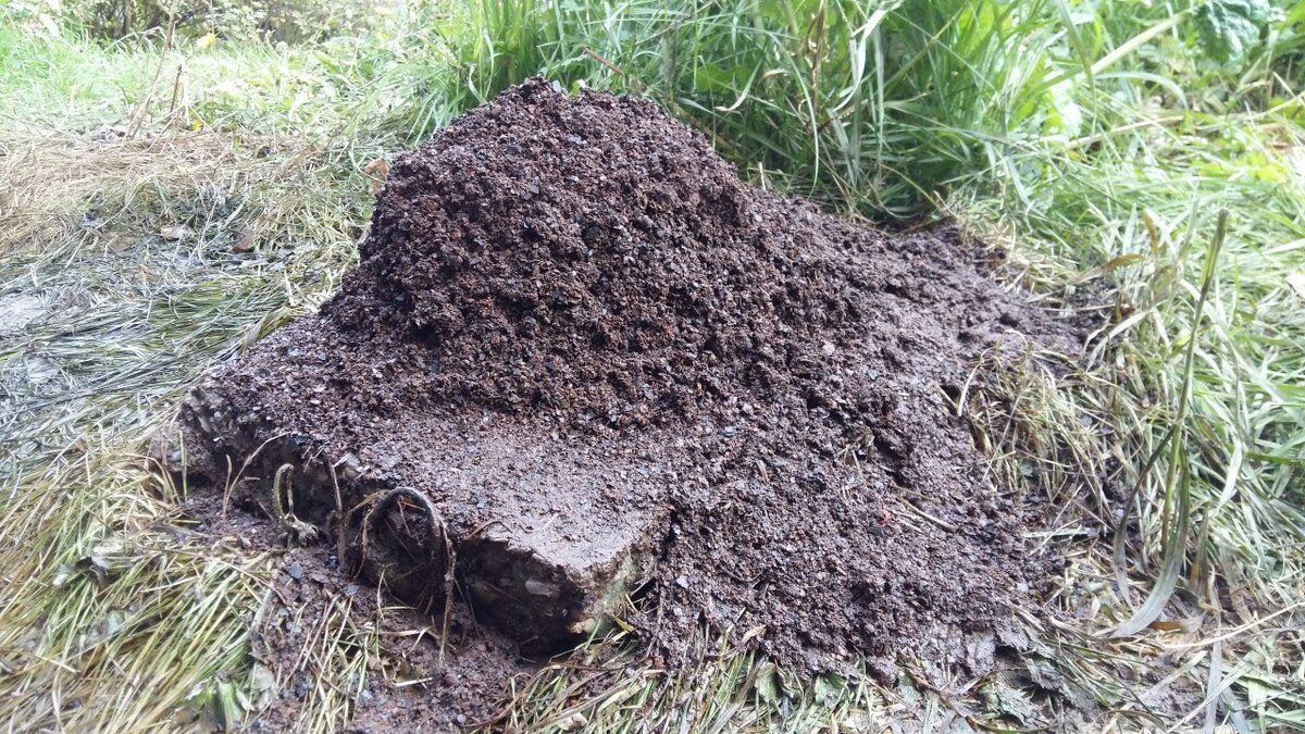 Отложения в системах отложения.