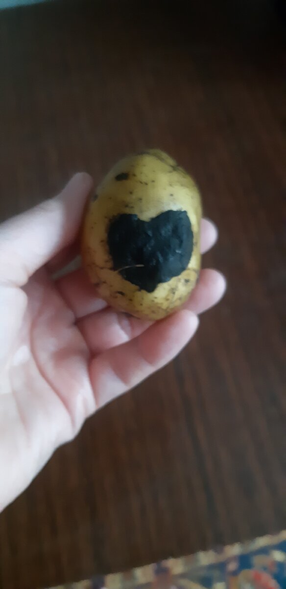 Любовь не картошка,  не выбросить в окошко)))