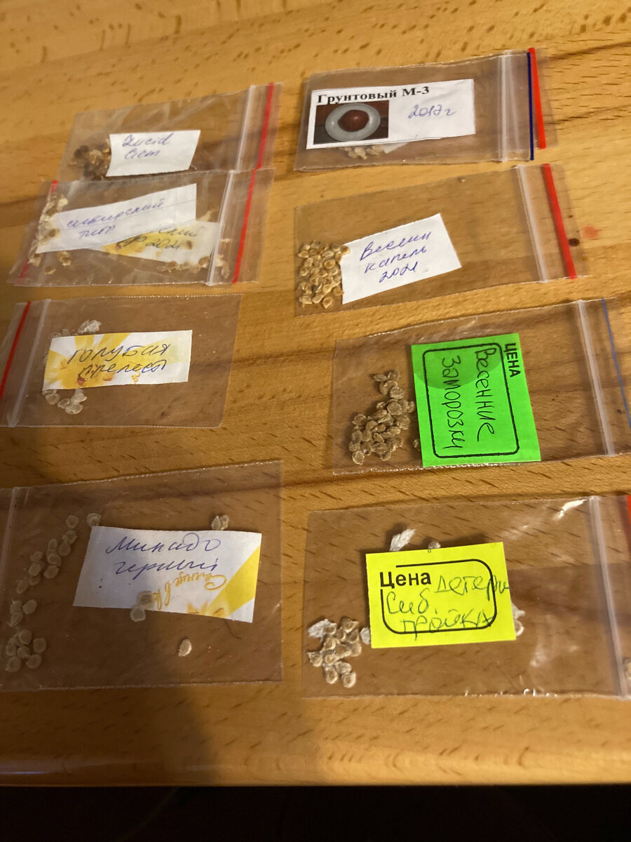 В открытый грунт