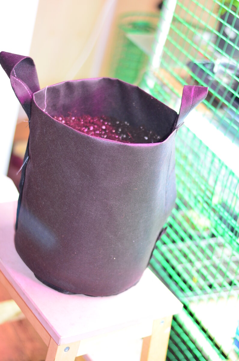    Одна емкость литров на десять