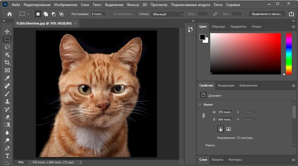 Скачивайте Adobe Photoshop и пользуйтесь всеми возможностями фоторедактора