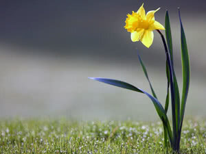 Фото из интернета.