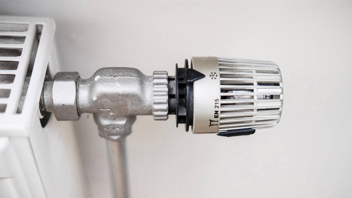    Фото: IMAGO/Michael Gstettenbauer/globallookpress.com