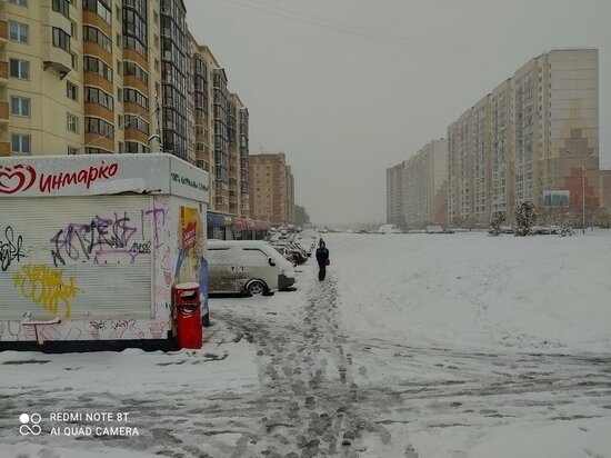     Фото: Елена Балуева / МК в Новосибирске