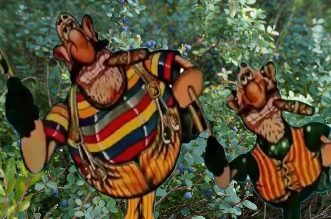 на фото голубика, а бандиты оттуда же, из инета 