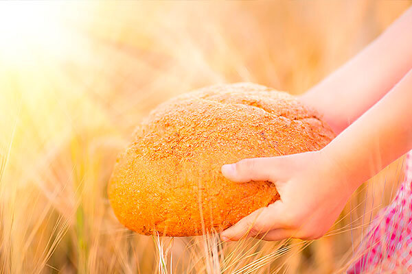 Хлеб — один из старейших приготавливаемых продуктов, который появился во времена палеолита