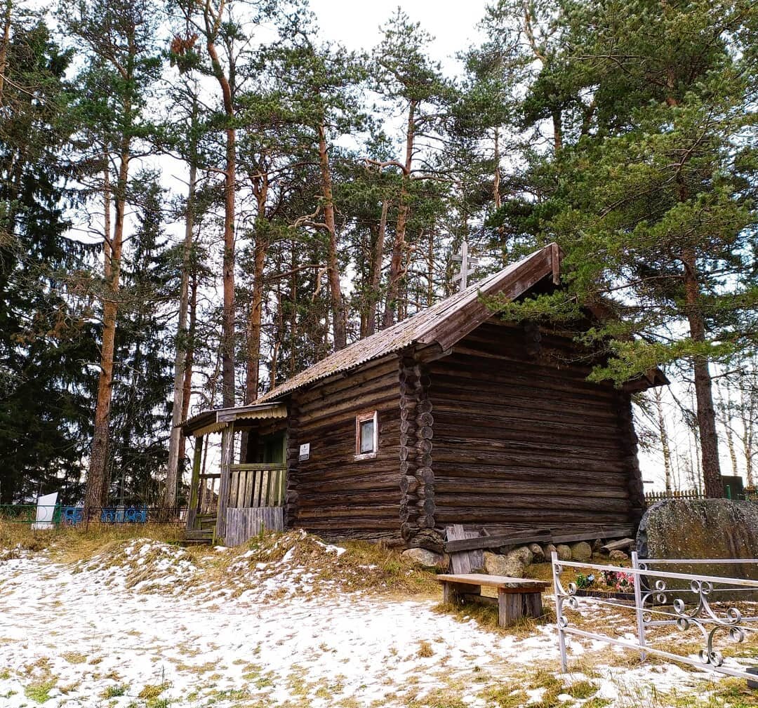 Приключения в Карелии: Сортавала-Петрозаводск (Часть 2) | Мила Людмила |  Дзен