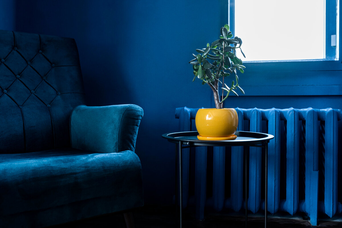 Изображение от <a href="https://ru.freepik.com/free-photo/home-indoor-design-concept_11904483.htm#query=%D1%86%D0%B2%D0%B5%D1%82%20%D0%B2%20%D0%B8%D0%BD%D1%82%D0%B5%D1%80%D1%8C%D0%B5%D1%80%D0%B5&position=0&from_view=search&track=ais">Freepik</a>