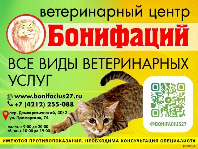    Фото: Ветеринарный центр "Бонифаций". Токен LjN8KSa4G