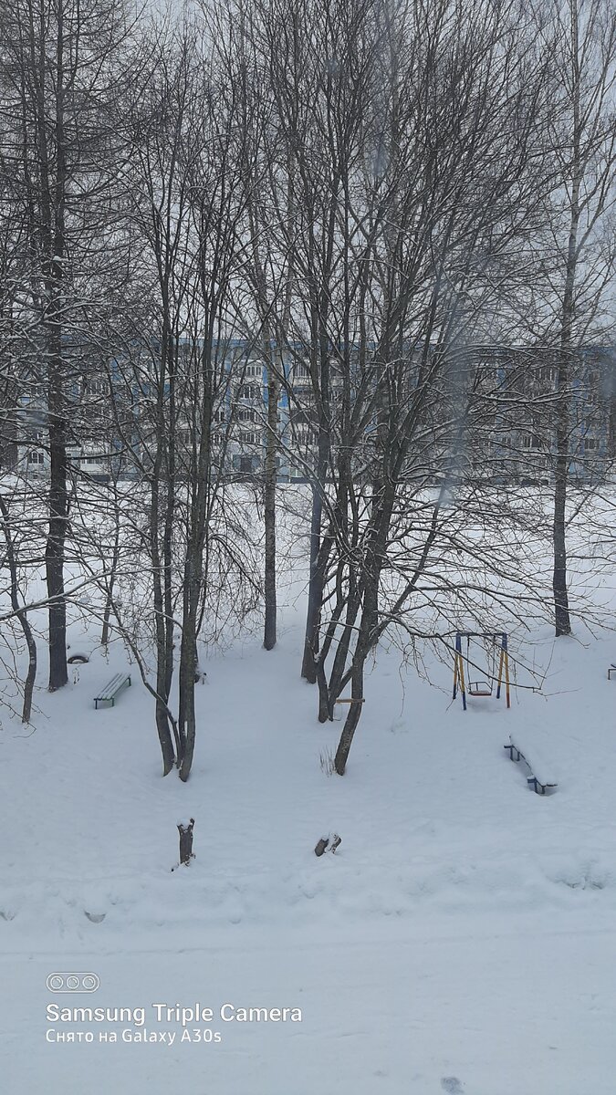 Фото автора.Вид из окна.