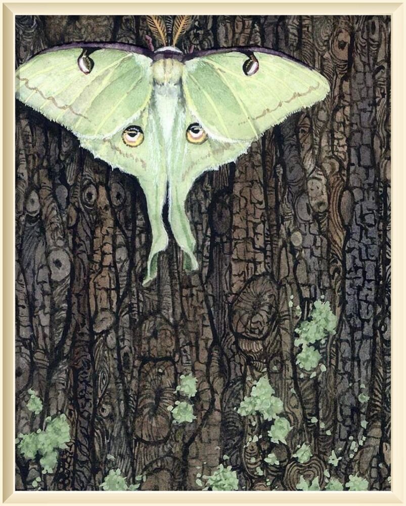 ©️ Мэгги Вандевалле / Maggie Vandewalle Luna / Луна