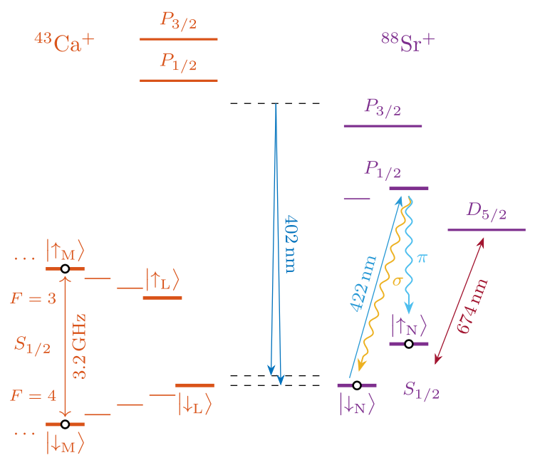   P. Drmota et al. / Physical Review Letters, 2023