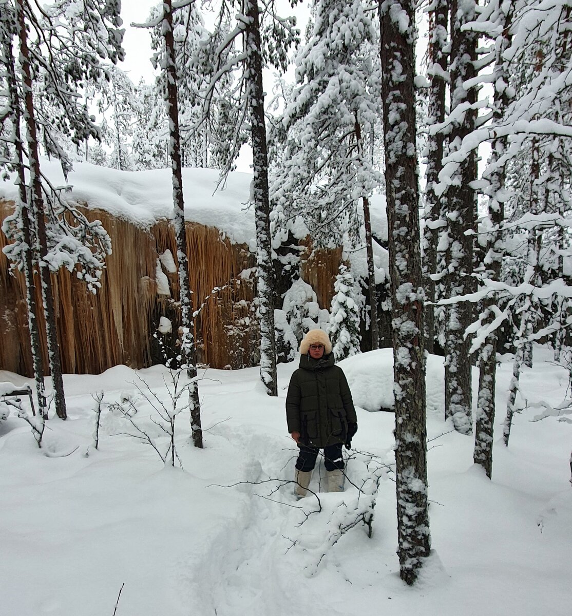 На границе миров. Вид на тропу шамана из "нижнего мира"