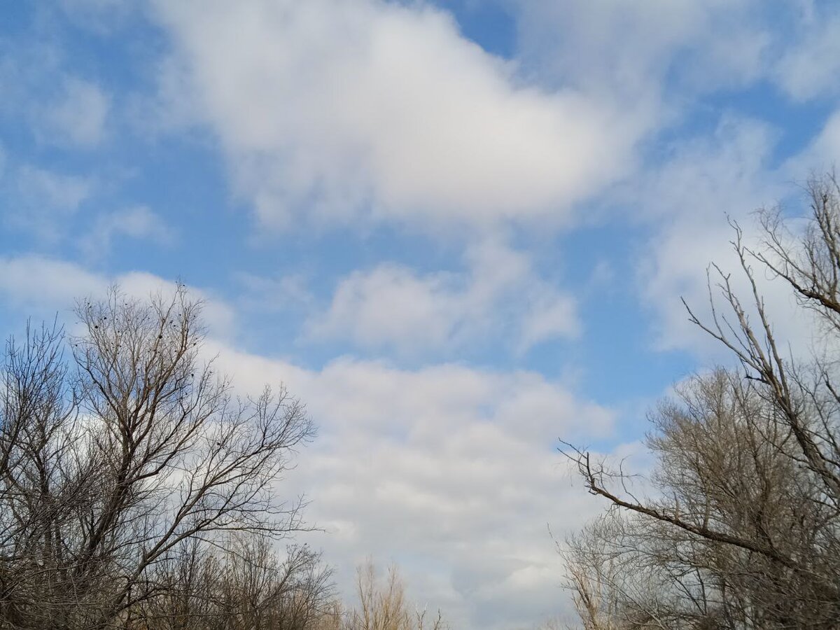 По следам дня рождения | ЮлиКо (Предпоследний приют) | Дзен