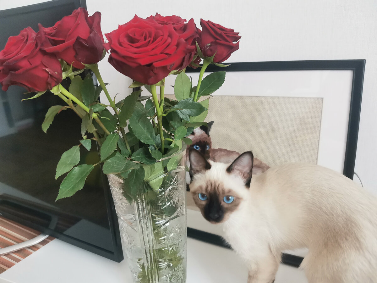 Марта и цветы