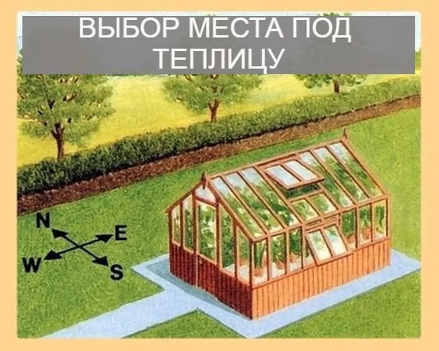 Расположение теплицы на участке по сторонам света