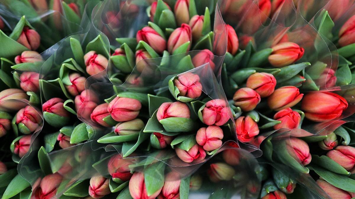    Фото: Артур Новосильцев / АГН Москва