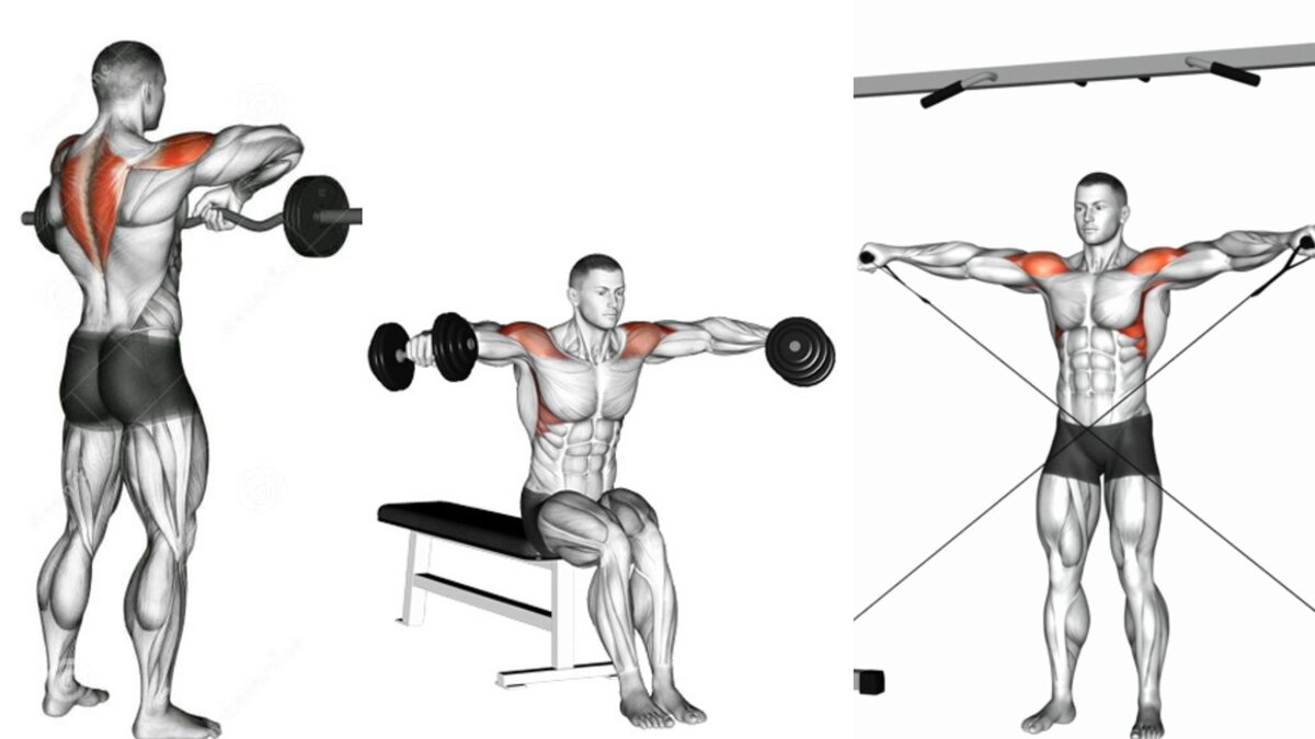 Топ-8 упражнений на плечи для мужчин для увеличения объёма и набора массы - Чемпионат