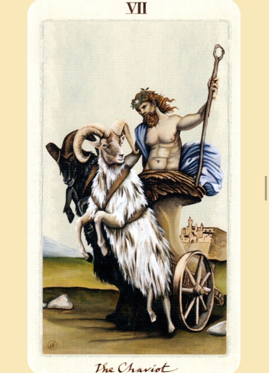 колесница в матрице судьбы. 7 аркан таро в матрице судьбы. матрица судьбы натальи ладини 17. Pagan otherworlds tarot — таро языческих иномиров. колесница в матрице судьбы.